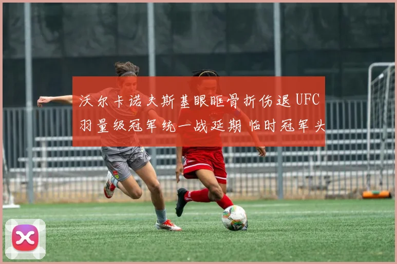 沃尔卡诺夫斯基眼眶骨折伤退 UFC羽量级冠军统一战延期 临时冠军头衔合理性再遭质疑
