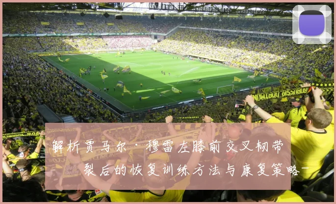 解析贾马尔·穆雷左膝前交叉韧带撕裂后的恢复训练方法与康复策略