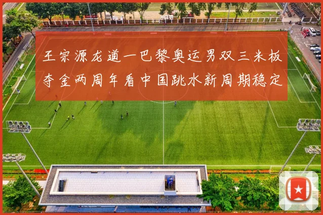 王宗源龙道一巴黎奥运男双三米板夺金两周年看中国跳水新周期稳定性与隐忧