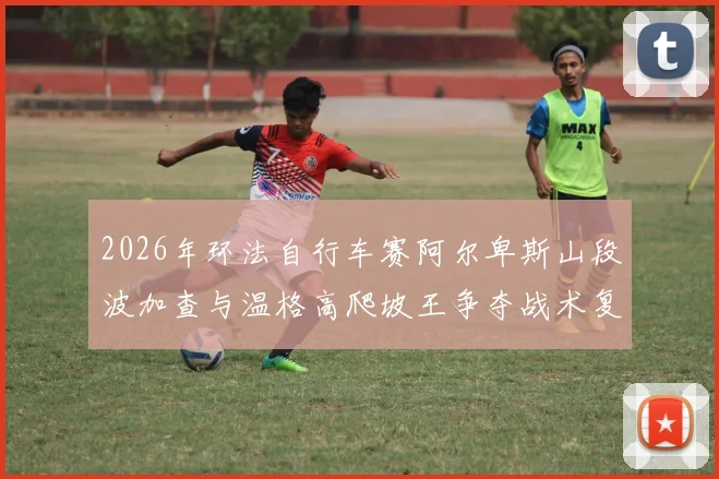 2026年环法自行车赛阿尔卑斯山段波加查与温格高爬坡王争夺战术复盘