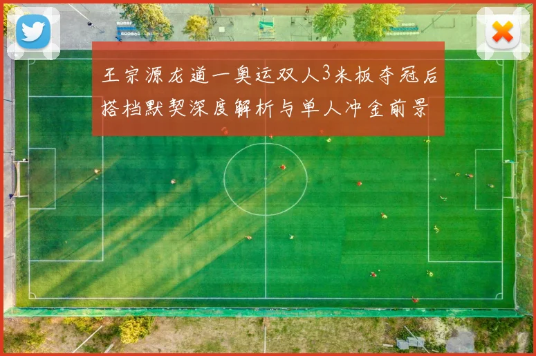 王宗源龙道一奥运双人3米板夺冠后搭档默契深度解析与单人冲金前景