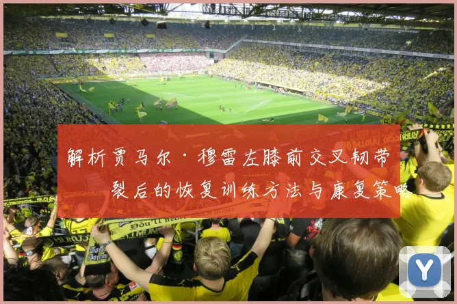 解析贾马尔·穆雷左膝前交叉韧带撕裂后的恢复训练方法与康复策略