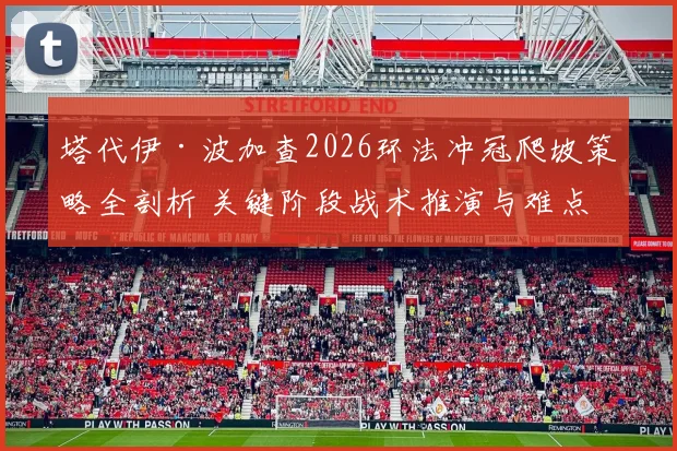 塔代伊·波加查2026环法冲冠爬坡策略全剖析 关键阶段战术推演与难点破解