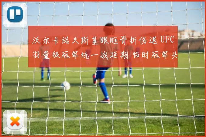 沃尔卡诺夫斯基眼眶骨折伤退 UFC羽量级冠军统一战延期 临时冠军头衔合理性再遭质疑